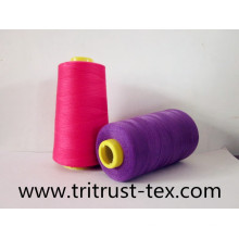 100% Polyester Sewing Thread (20s/2)